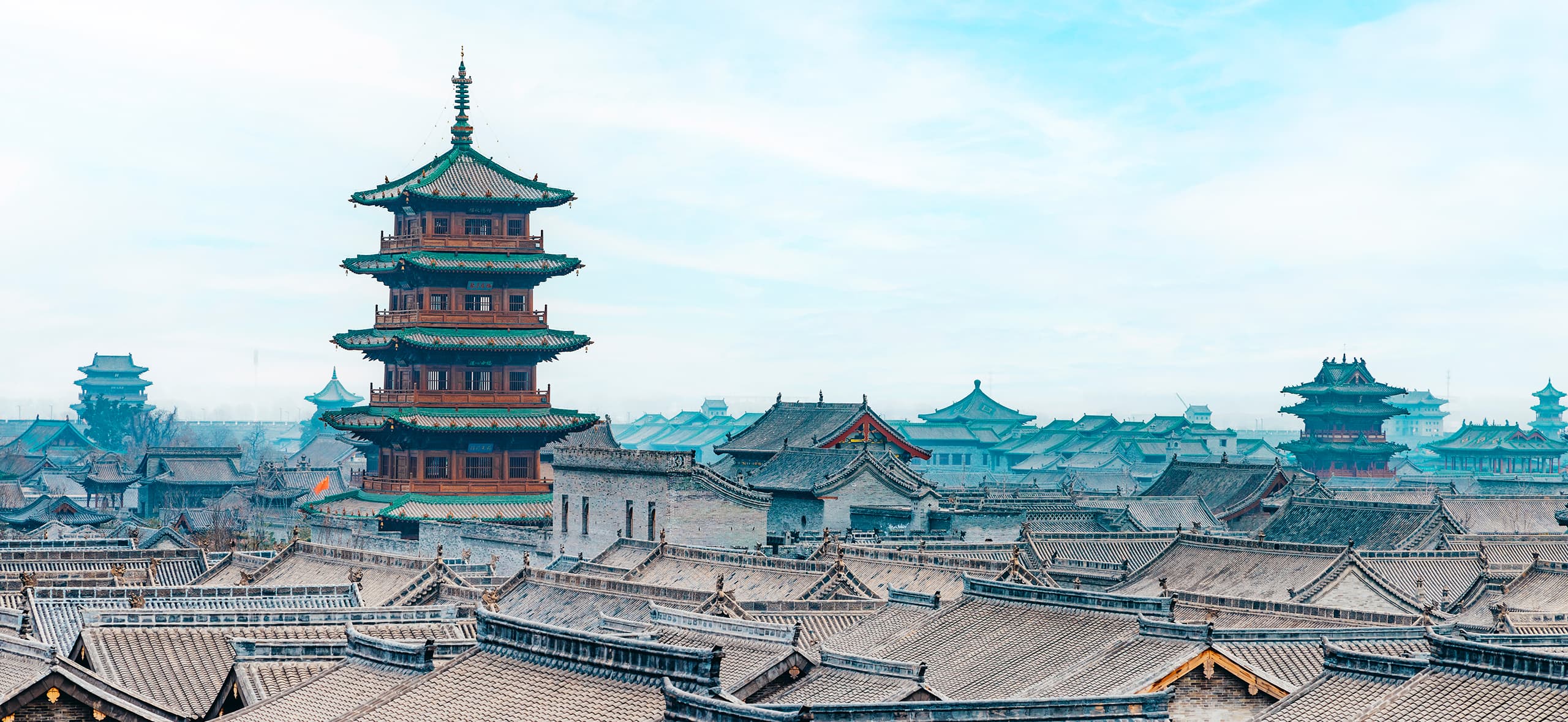 与辉同行