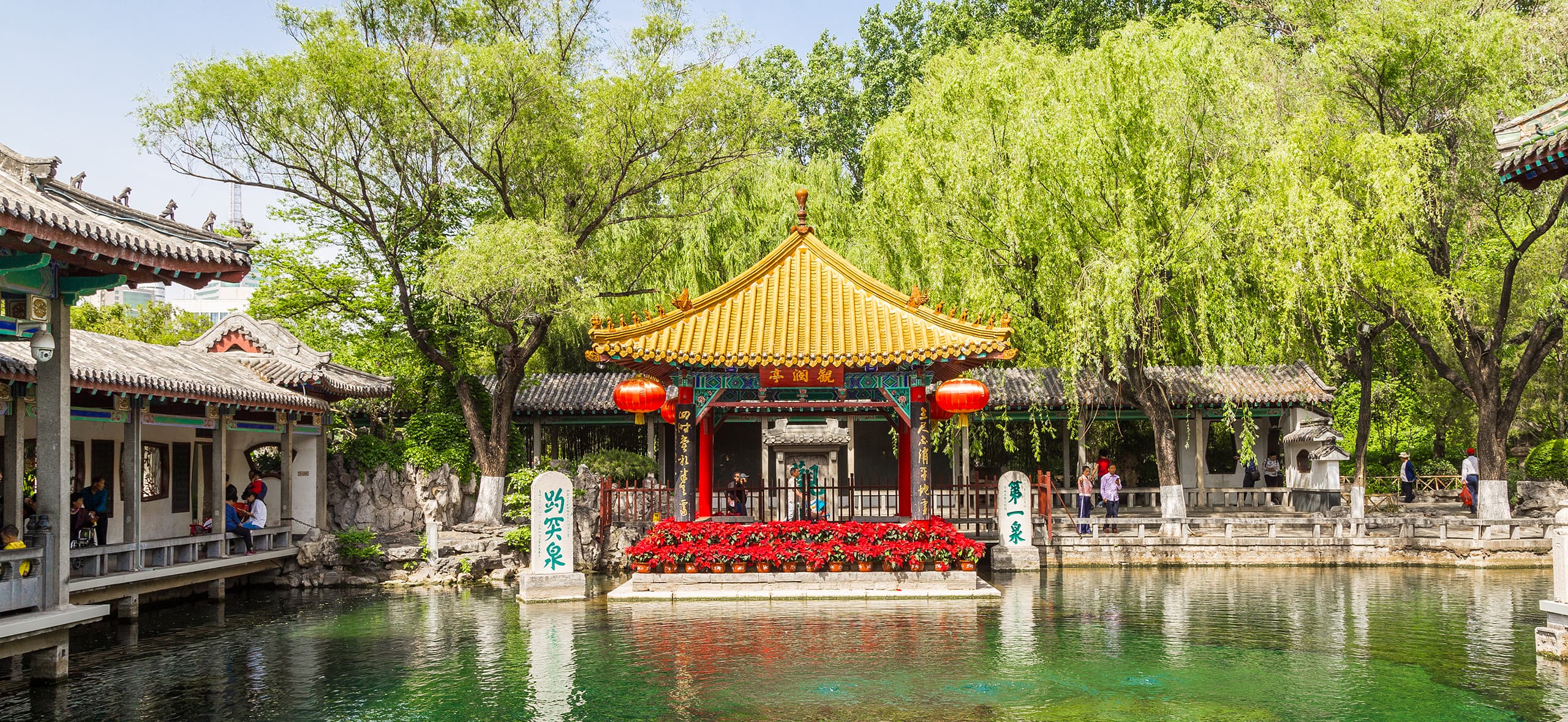 与辉同行