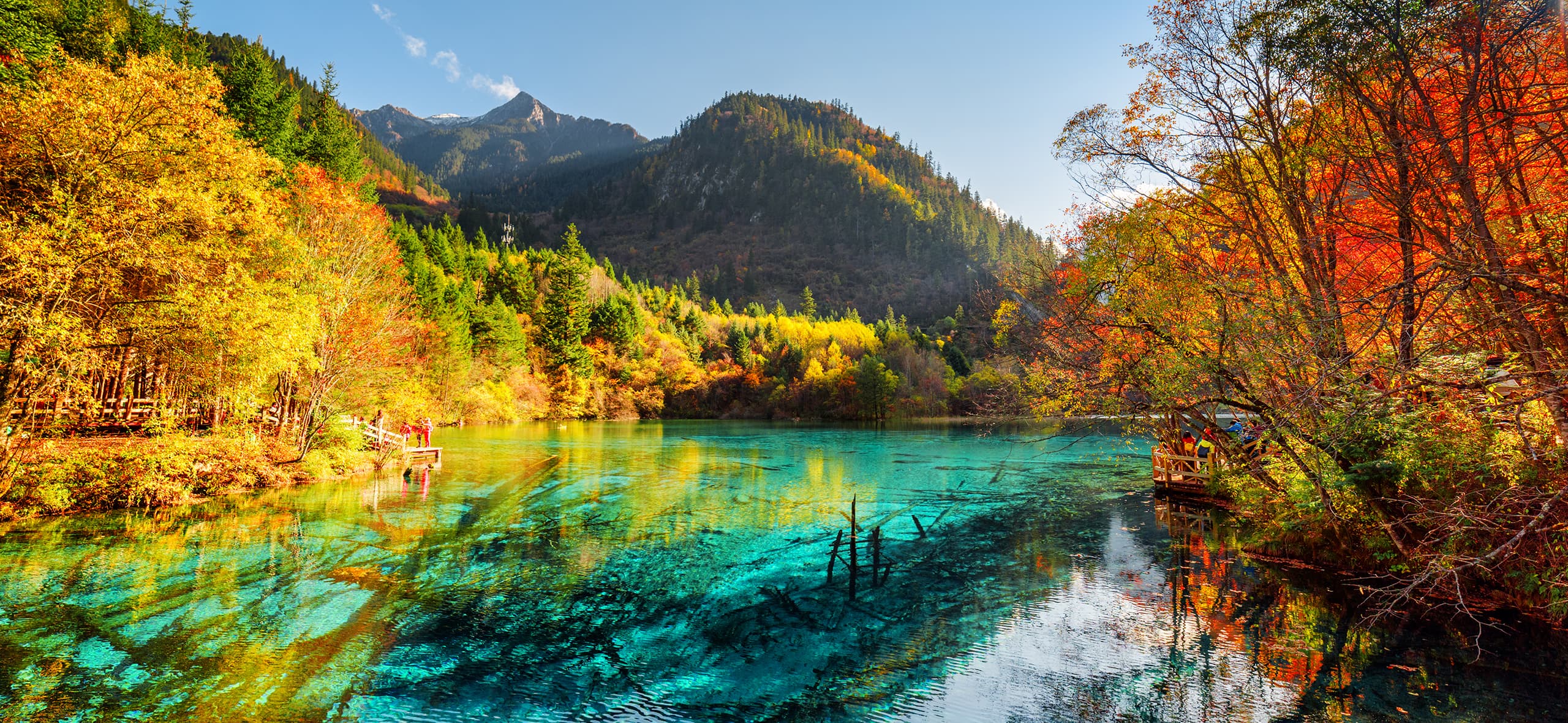 与辉同行